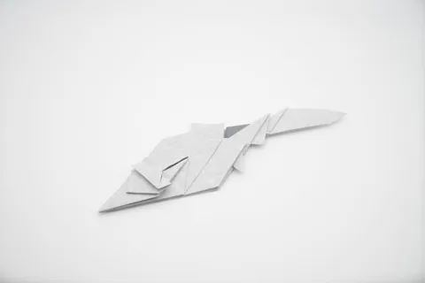 Anchovies (fish) — паттерн