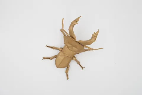 Cyclommatus beetle