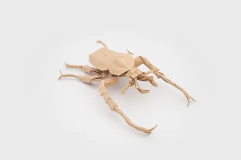 Dicranocephalus wallichi V2