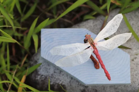 Autumn Darter
