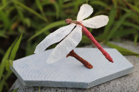 Autumn Darter