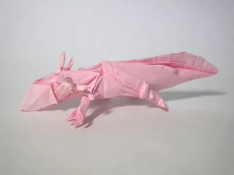 Axolotl