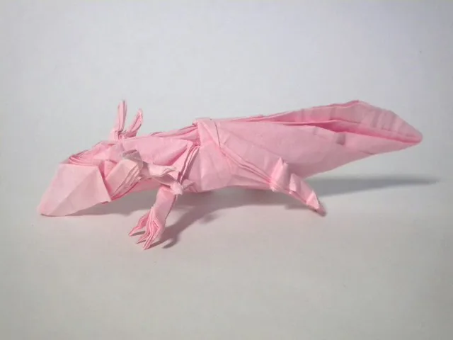 Axolotl