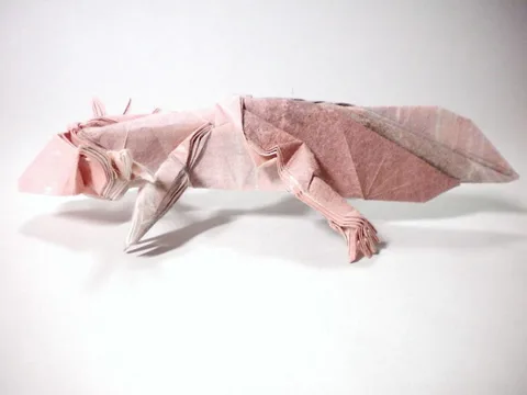 Axolotl