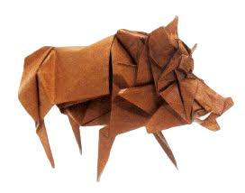 Wild boar
