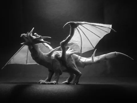 Dragon 2016