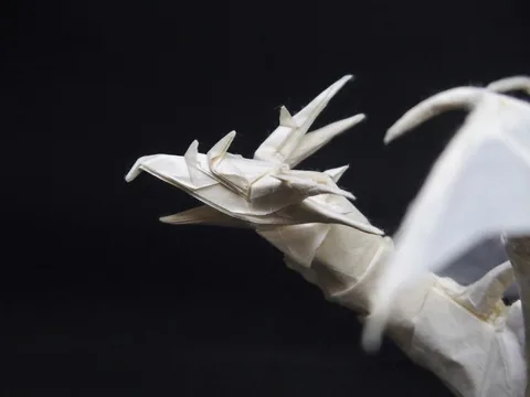 Dragon 2016