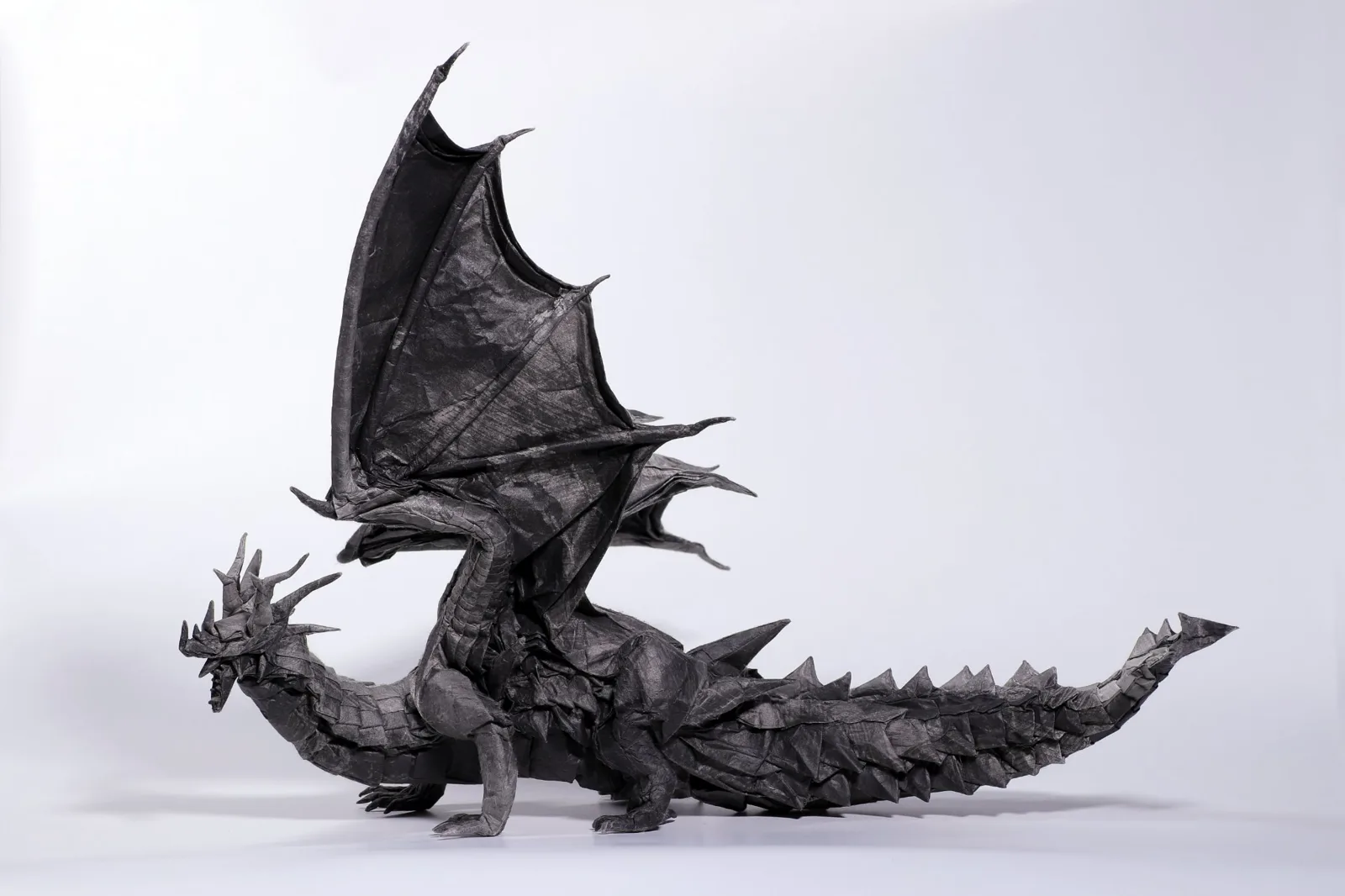 Dragon 2018