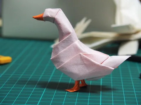 Duck
