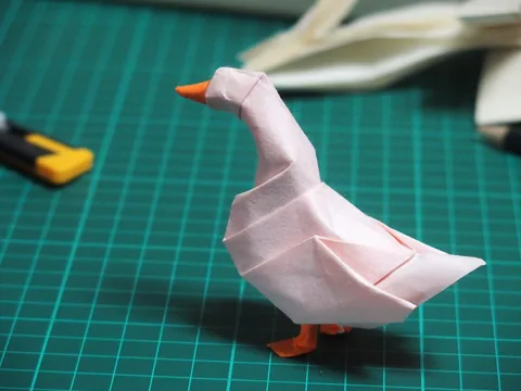 Duck