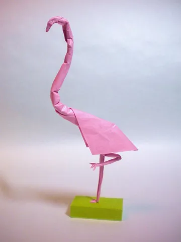 Flamingo