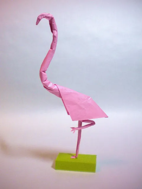 Flamingo