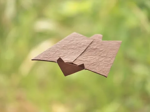 Flying squirrel