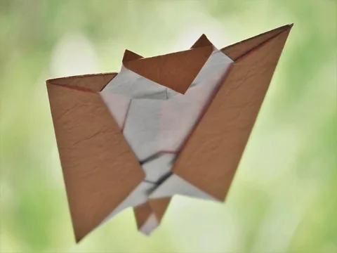 Flying squirrel
