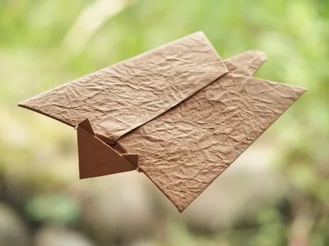 Flying squirrel