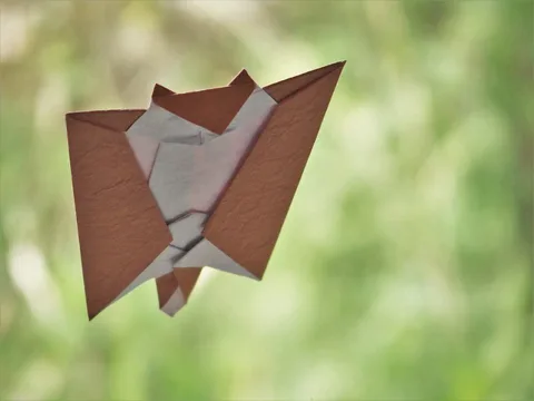 Flying squirrel