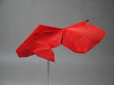Goldfish