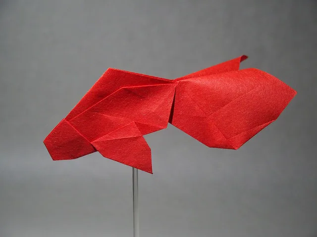 Goldfish