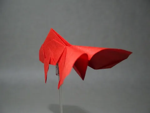 Goldfish