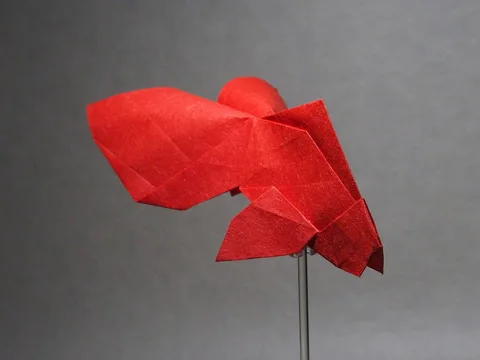 Goldfish
