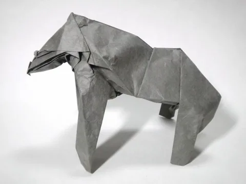 Gorilla