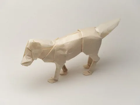 Labrador retriver