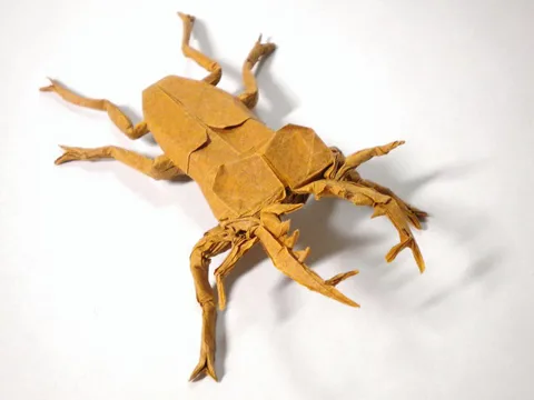 Miyama Stag Beetle