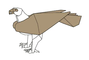 Osprey