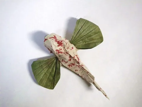 Sea robin