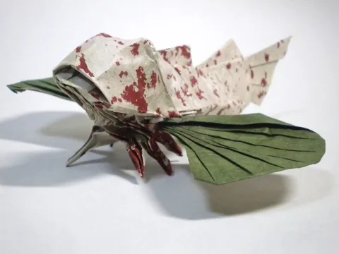 Sea robin