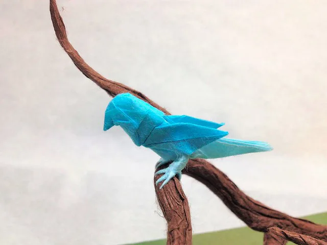 Small bird