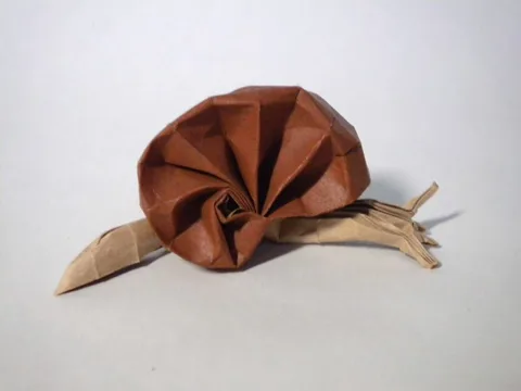 Snail