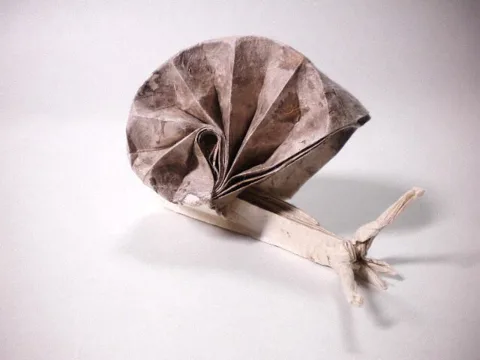 Snail
