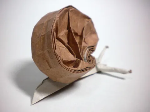 Snail