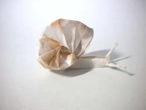 Snail