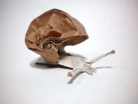 Snail