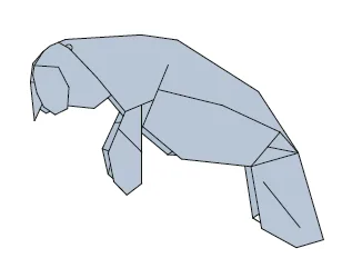 West Indian manatee