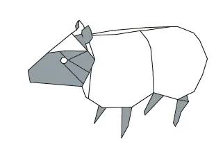 Sheep