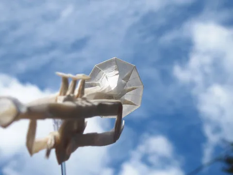 Trumpet