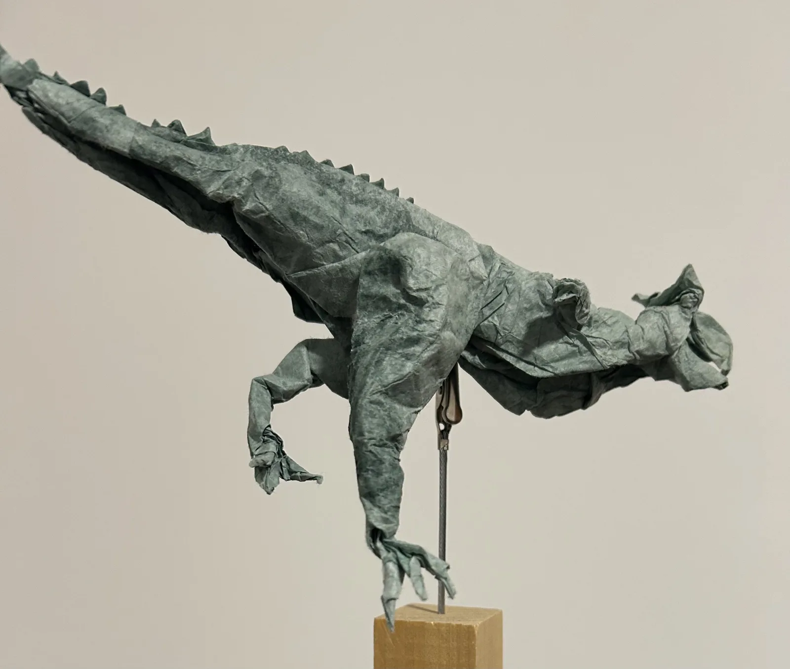 Carnotosaurus
