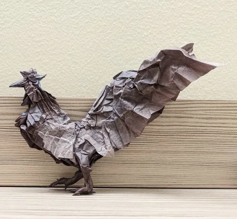 Rooster