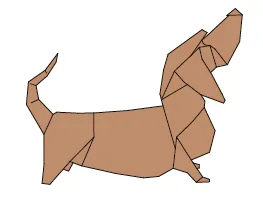 Basset hound