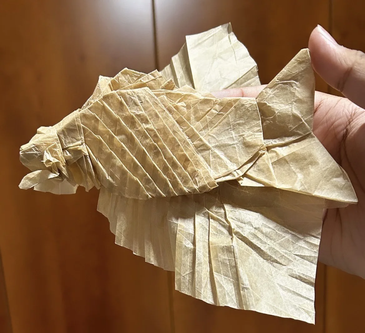 Tilted Grid Fish