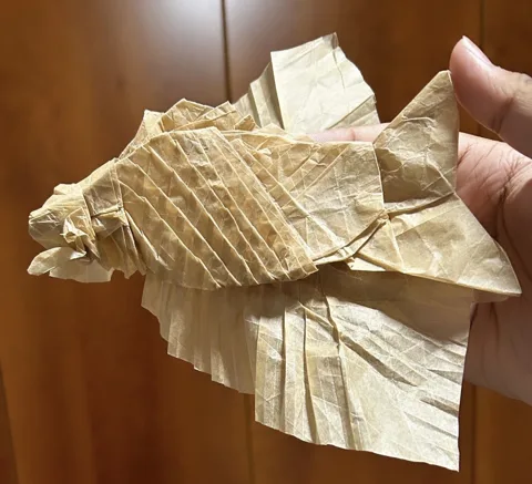 Tilted Grid Fish