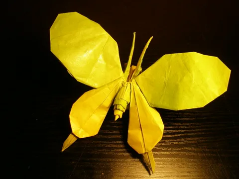 Butterfly 1.1