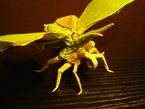 Butterfly 1.1
