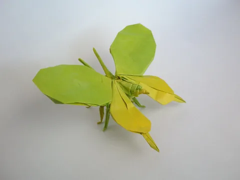 Butterfly 1.1