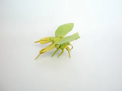 Butterfly 1.1