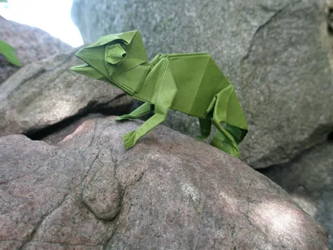 Chameleon