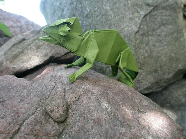 Chameleon